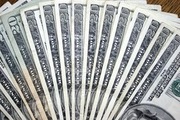 Referral Agents Needed To Work From Home!