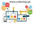 Hire best  web development company for online business